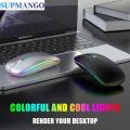 Wireless Mouse RGB Rechargeable Mice Wireless Computer Mause LED Backlit Ergonomic Gaming Mouse For Laptop PC. 