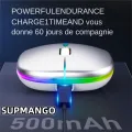 Rechargeable Wireless Mouse With Single Mode USB 2.4 GHZ RGB 1600DPI Mouse Suitable For Laptop Tablet Macbook Game Mouse Players. 