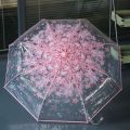 korean Transparent Umbrella Gear - Orchid Grey - "Suit Only: 44". 