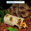 NEW 1Pcs Durable Birch Wood Texture PVC Shelter Reptile Hideaway Cave For Lizards And Amphibians Shedding Relaxing & Play. 