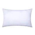 HOTEL GREAT PILLOWS. 