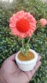 Crochet Daisy Flower Mini Pot   /Crochet Flowers. 