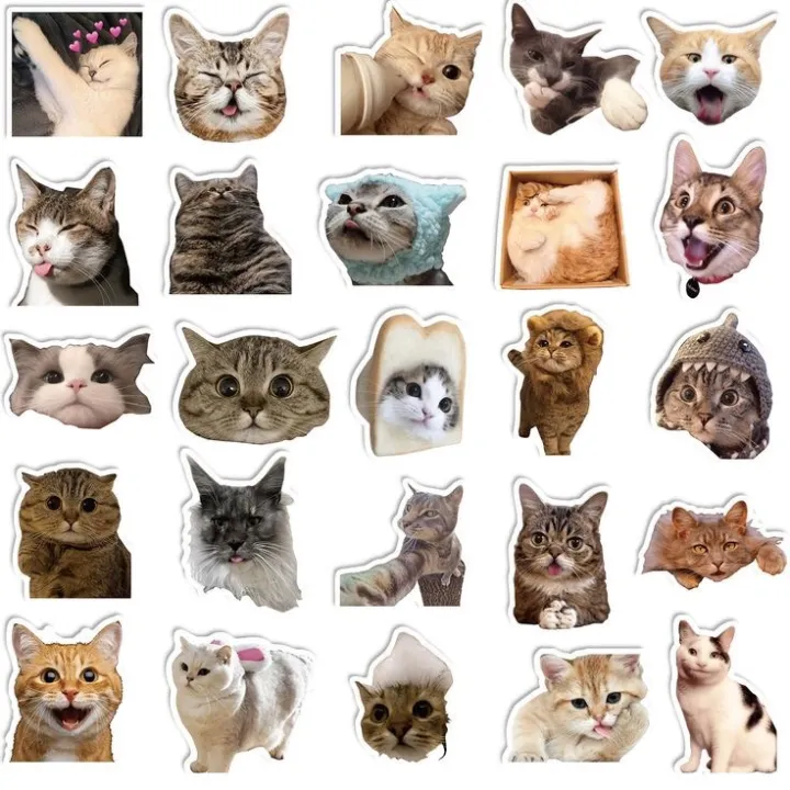 Funny%20Cat%20Sticker%20Sheets%20A5%20Uncut%20Sticker%20Sheets,%20animal%20stickers,%20cat%20memes,%20cute%20cat%20stickers,%20laptop%20sticklers,%20phone%20stickers/Cat%20Lovers%20Sticker%20Pack%20-%20Image%202