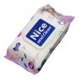 NICE & CLEAN WET WIPES (160pcs). 