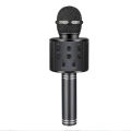 Amplifier Microphone Speaker, Built-in Speaker, Echo Sound for Teaching and Recording. 