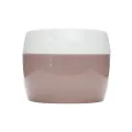 Skin Cafe All-Day Moisturizer With Niacinamide 50 gm.