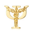 Hanrehse Psi Psychology Caduceus Brooch Pin Medical Backpack Lapel Hat Badge Decoration for Psychologist Doctor Nurse. 