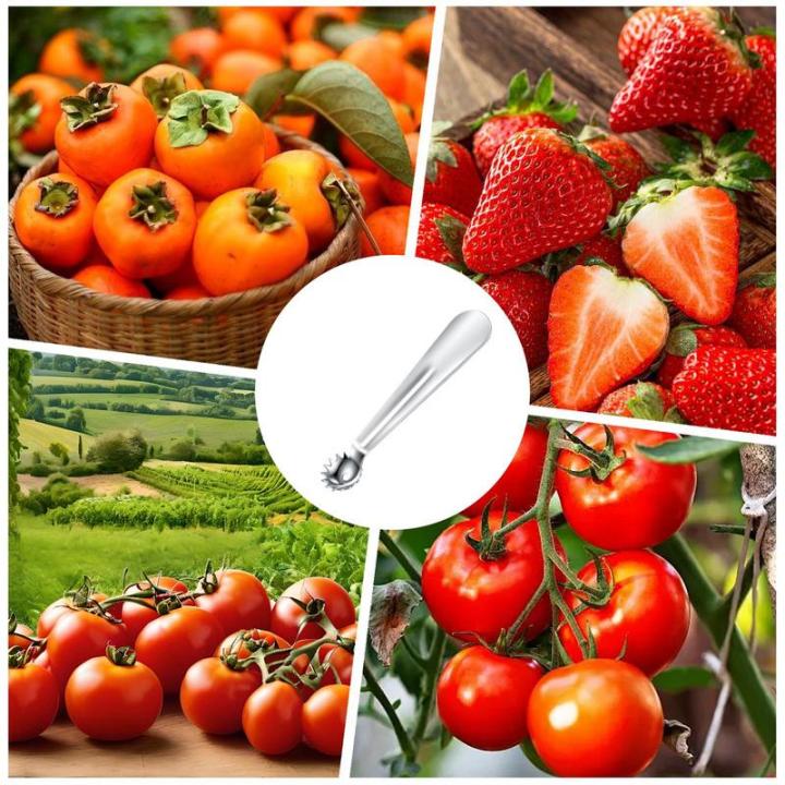 Strawberry%20Stem%20Remover%20Tool%20Stainless%20Steel%20Tomato%20Corer%20Remover%20Portable%20Tomato%20Top%20Stem%20Remover%20Tool%20Ergonomic%20Handle%20Cooking%20-%20Image%204