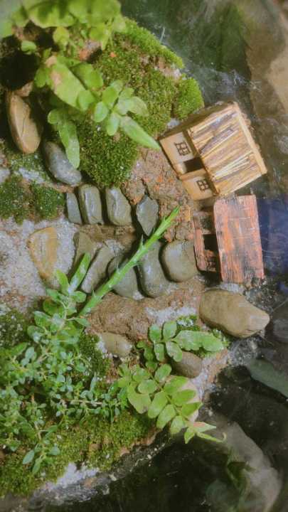 Terrarium%20%20/%20mini%20world%20garden%20-%20Image%202