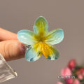 6Pcs Gradient Hair Clips New Flower Hair Claws Small Size Fashion Headwear Hairpin Crab Barrette Hair Accessories for Women. 