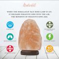 USB natural  salt lamp  7 color changing Himalayan salt lamp. 