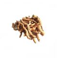 Asrol 50gm | Snake Root | Choti Chandan | اسرول | چھوٹی چندن. 