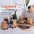 Cute Porpoise Pressure Reducing Wet Soft Toys Fashionable Network New Fast Rebound Squeezing Funny Animal Toys Release Anxiety. 