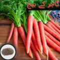 Carrot Seeds (Gajjar k beej)(گاجر کے بیج/Germinated/Best Quality/Fast growing/Excellent Germination/High Quality/Healthy Vegetable Seeds/Vegetable/Home/Kitchen/Gardening seeds/beej/pack of 20 carrot seeds. 