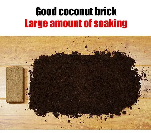 Universal%20Coconut%20Brick%20Nutrient%20Soil%201%20Kg%20-%20Image%204