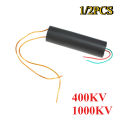 1/2PCS 1000KV High Voltage Generator High Voltage Module Voltage Inverter Transformer Boost Module 400KV DC 3V-6V.