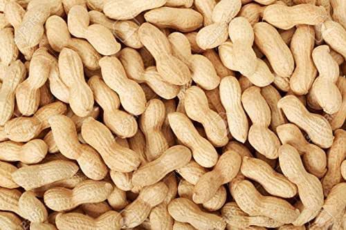 mung phali with nut |fresh peanut