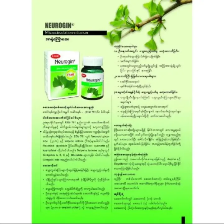 Neurogin%20%E1%80%A1%E1%80%AC%E1%80%9B%E1%80%AF%E1%80%B6%E1%80%80%E1%80%BC%E1%80%B1%E1%80%AC%E1%80%86%E1%80%B1%E1%80%B8%20FAME%20-%20Image%208