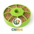 Automatic Bird Feeder & Water Dispenser – CitiBird. 