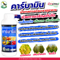 Carbamin Expressway sugar + amino + thiamine 1 liter helps thick green leaf growth plants, easy to install flowers, increase productivity, zinc fertilizers, trace elements, trace elements. Dietary supplement helps pollination, cracking effect, falling .... 