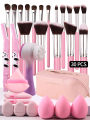 1pc Multifunctional Zipper Cosmetic Bag (Waterproof) + 21pcs/Set Makeup Tools Set. 