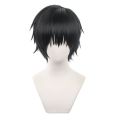 Anime Jujutsu Fushiguro Toji Cosplay Synthetic wig Short Black hair for men costumes Wigs. 