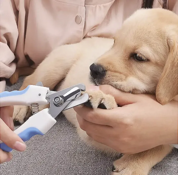 Professional Pet Dog Nail Clipper Cutter Stainless Steel Grooming Scissors Clippers for Animals