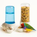 China Water Filter Technology Bird Feeder & Drinker – 60ml Multipurpose Durable Bottle for Finch, Budgies & Lovebirds – (2 Piece). 