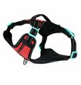 (F). Pets at Home 3 Peaks RED SMALL Control Ascent Dog Harness. 