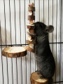 1pc-Simple wooden  wood chew toy rabbit, chew stick, round wood teeth grinding rope, small pet toy. 