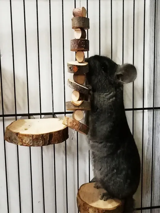 1pc-Simple%20wooden%20%20wood%20chew%20toy%20rabbit,%20chew%20stick,%20round%20wood%20teeth%20grinding%20rope,%20small%20pet%20toy%20-%20Image%204