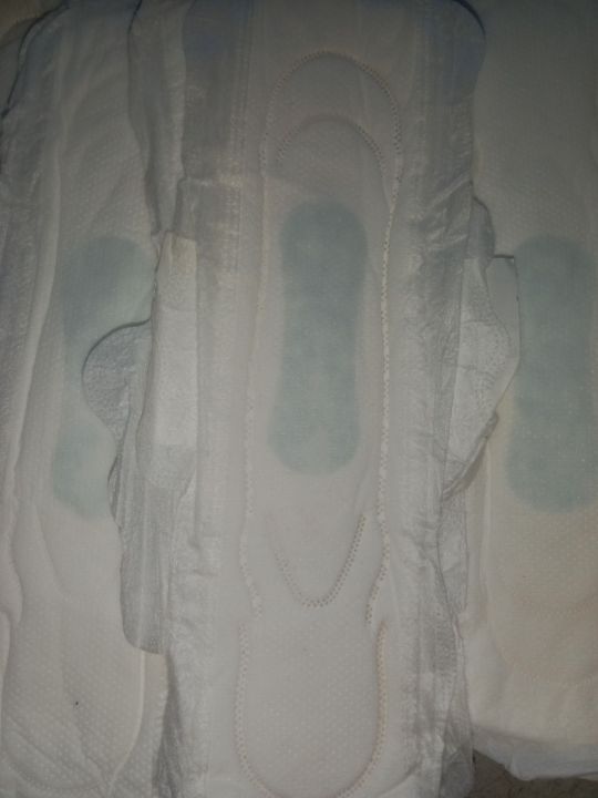 imported ladies paid size XXL 20 PC's