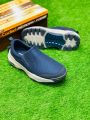 Skechers Master copy. 