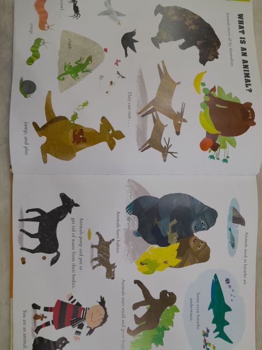 BIG%20noisy%20book%20of%20animals%20with%20fully%20animated%20dvd%20-%20Image%202