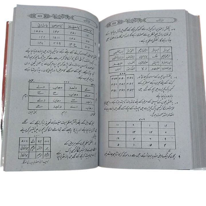 Lal%20kitab%20by%20Syed%20Husain%20shah%20gilani%20-%20Image%203