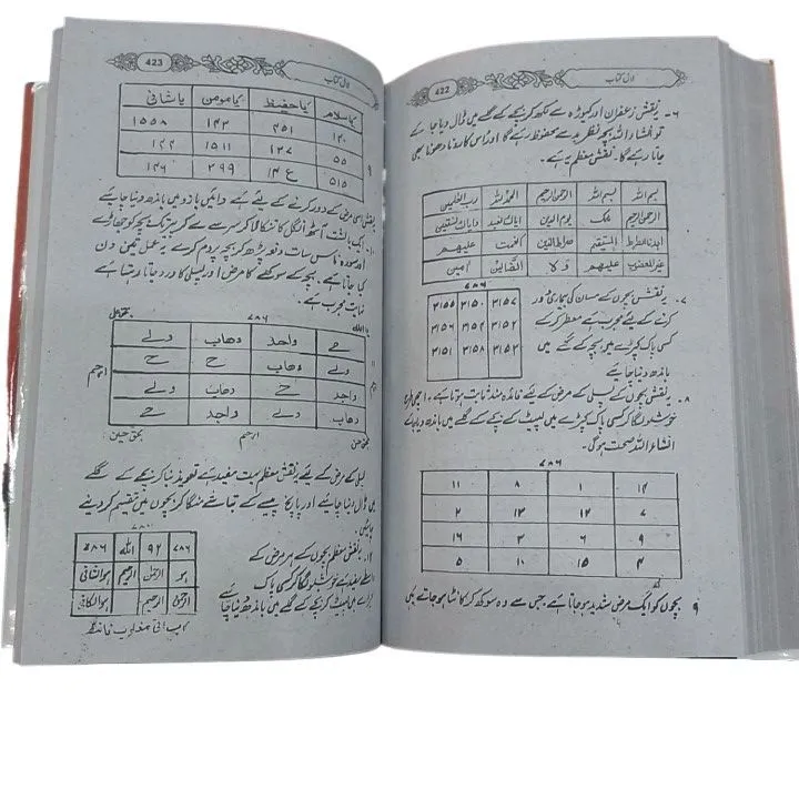 Lal%20kitab%20by%20Syed%20Husain%20shah%20gilani%20-%20Image%203