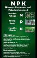 NPK 19 19 19 50 gm repack fertilizer For Plants Water Soluble Fertilizer VEGETABLES FLOWER HYDROPONICS and FRUITS  Indian. 