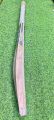 CA Gold 20K cricket Bat. 