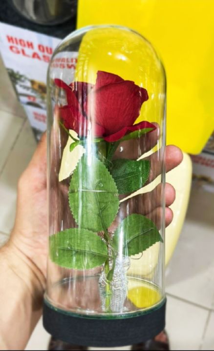 Rose flower in glass tube gift anversiry gift