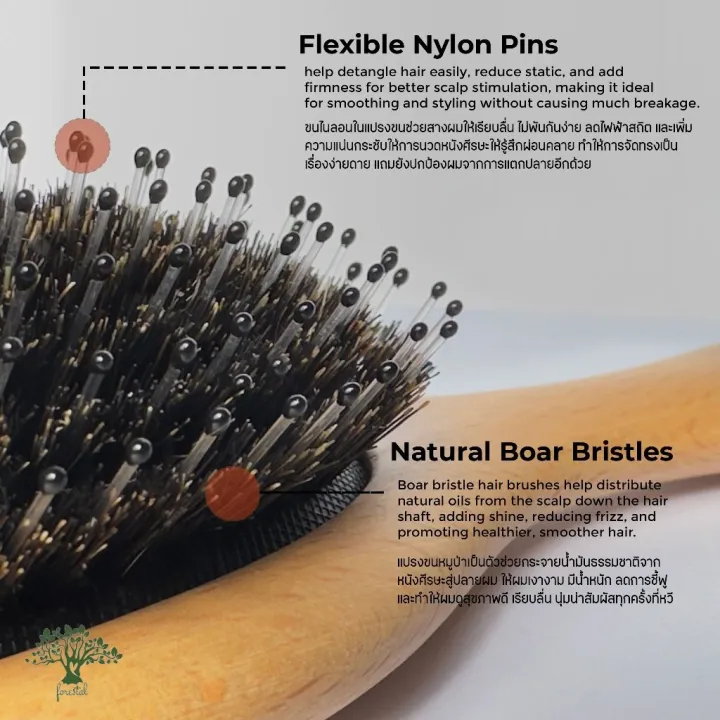 Forestal%20boar%20bristle%20hair%20brush%20(Beechwood)%20-%20Image%203