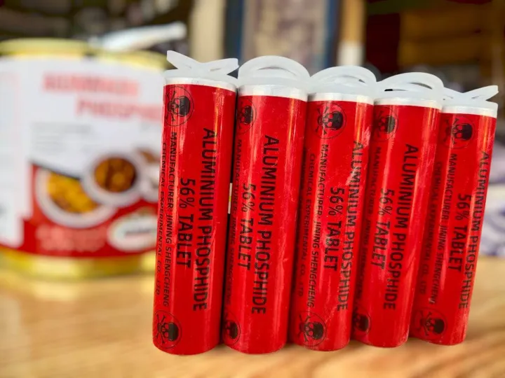 Gandum%20goli%20safe%20your%20Gandum%20from%20insects%2010%20tablets%20-%20Image%202