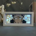 One Piece LED Light Box. 