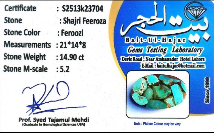 Shahri Feeroza /Feeroza/Turquoise 