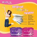 Cover Sanitary Napkins Day Use 10pads 250mm. 