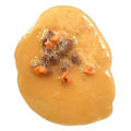 Fake Vomit Prank Toy Realistic Vomit Food Toy Halloween April Fool's Day Prankster Friend Fun Tricky Joke Party Gross Props. 