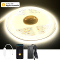 5m 10m Homekit WiFi COB LED Strip Super Bright 24V Warm White Natural Dimmable Flexible Ceiling Room Kitchen Cabinet Lighting. 
