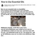 Beli 12ml Humidifier Fragrance Oil - Natural Aromatherapy Essence for a Soothing Atmosphere - Ideal for Air Treatment in Home & Car.
