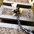 Simulated Iron Chain Dog with Dog Chain Traction Rope Dog Rope Funny Outdoor Plastic Thick Chain. 