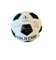 Gold cup football. 