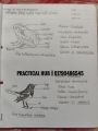 Hsc 2025 Biology 2nd Paper Full Complete Practical Notebook. 